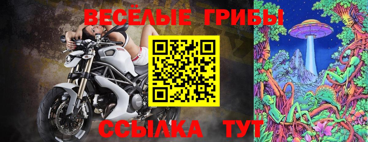 Псилоцибиновые грибы Psilocybine cubensis  цены наркотик  Буйнакск  Вход с VPN 
