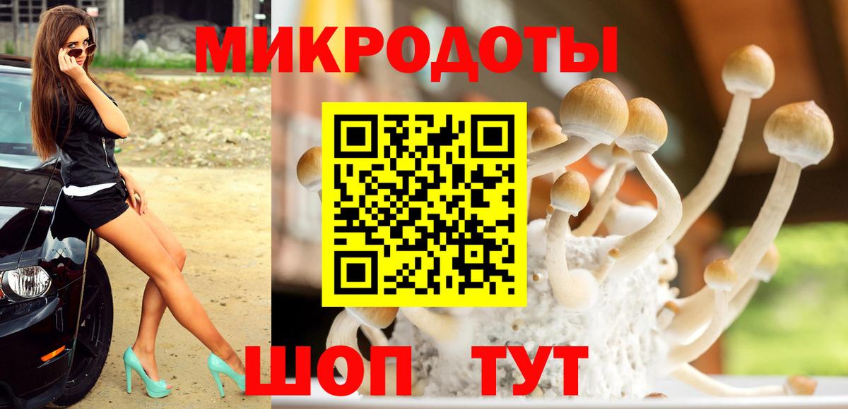 Галлюциногенные грибы мухоморы Буйнакск